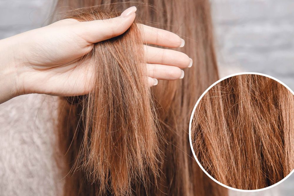 Nhiệt và hóa chất thường xuyên có thể khiến tóc khô xơ, yếu gãy.